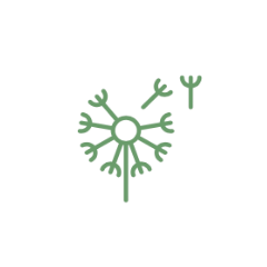 1-3-e1600688791705 1-3-e1600688791705